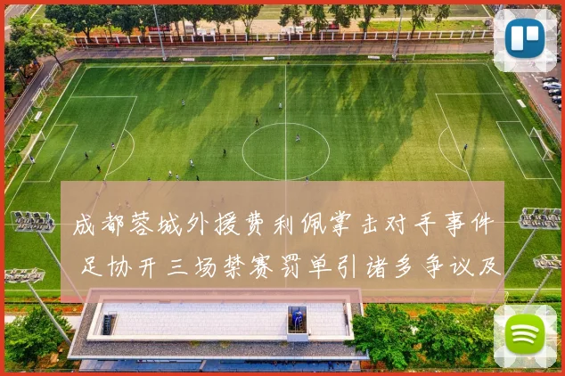 成都蓉城外援费利佩掌击对手事件 足协开三场禁赛罚单引诸多争议及深层探讨
