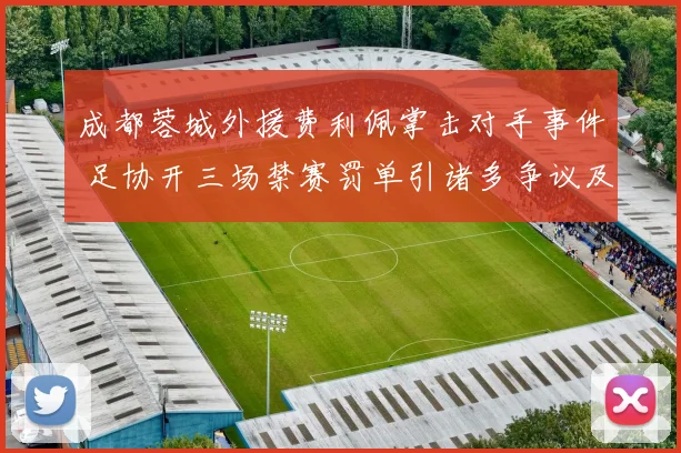 成都蓉城外援费利佩掌击对手事件 足协开三场禁赛罚单引诸多争议及深层探讨